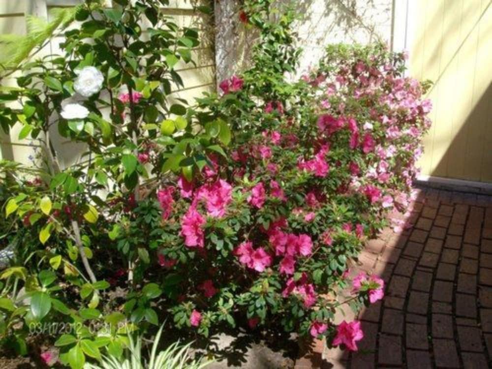 Secret Garden Inn 64/73