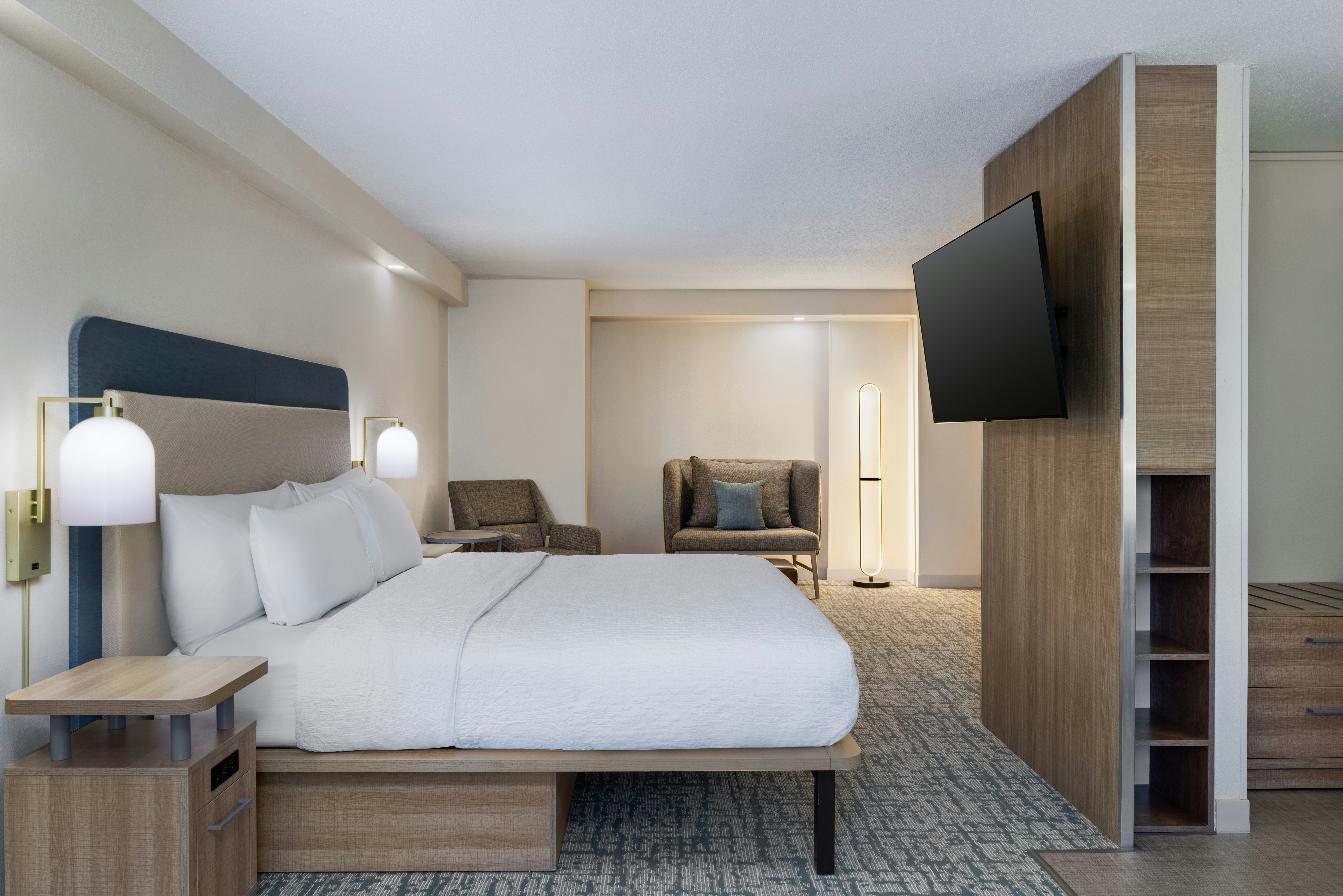 SUITE, KING BED, ACCESSIBLE