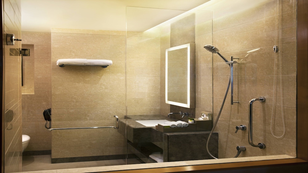 Holiday Inn New Delhi Mayur Vihar Noida 36/74