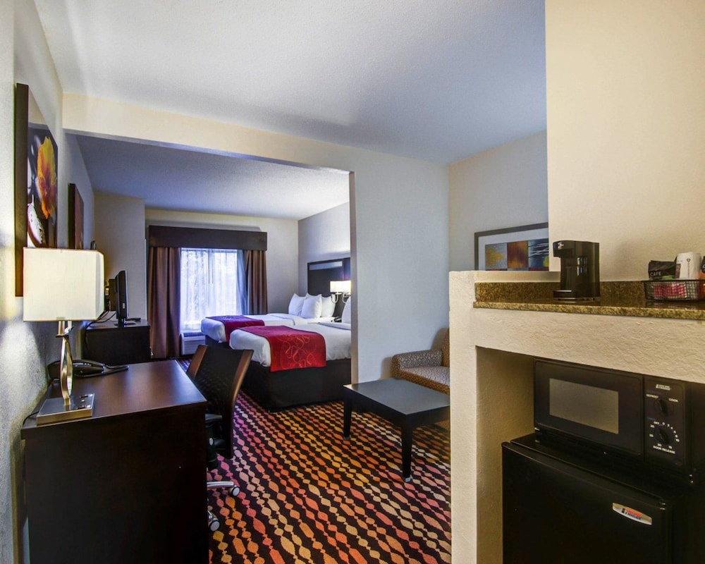 Comfort Suites Northside Hospital Gwinnett 37/47