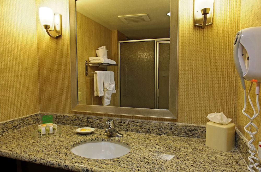 Holiday Inn & Suites Phoenix Airport 32/79