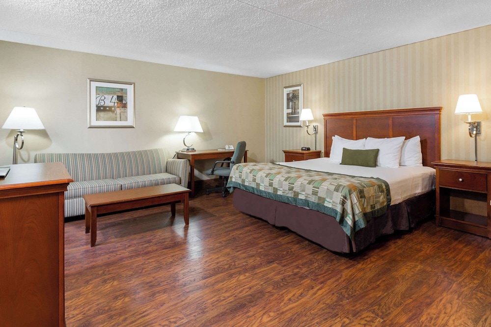 Room, King Bed, Sofa