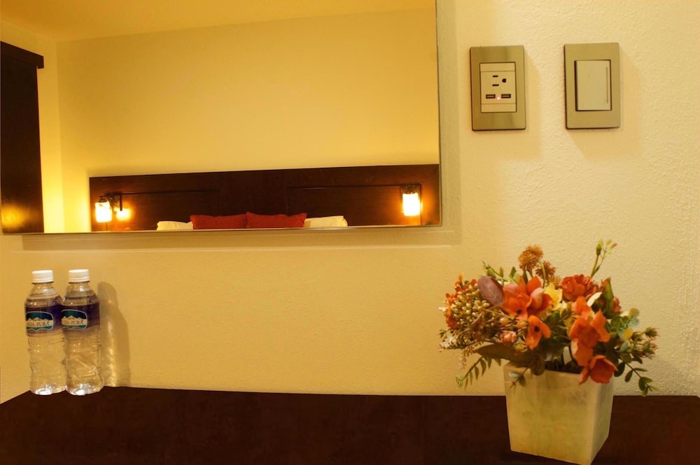 Hotel Alma De Oaxaca 6/46