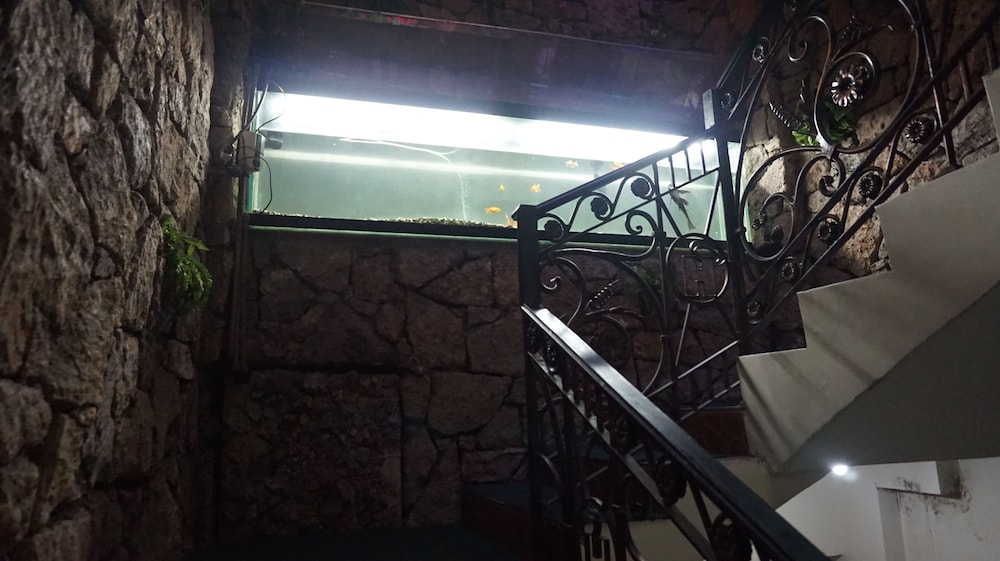 Halina Hotel Avenida 8/10