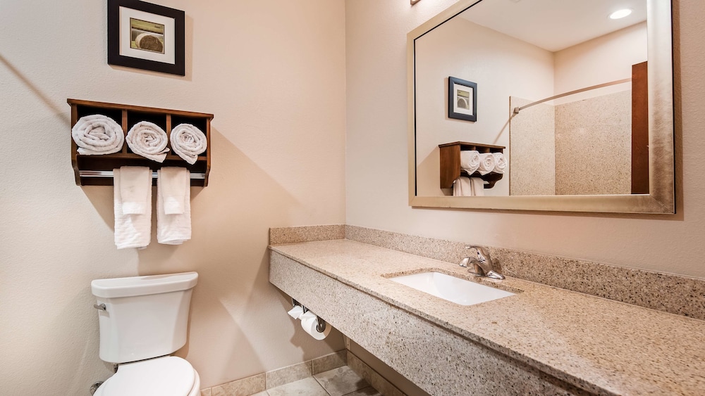 Best Western Plus Denver City Hotel and Suites 11/33