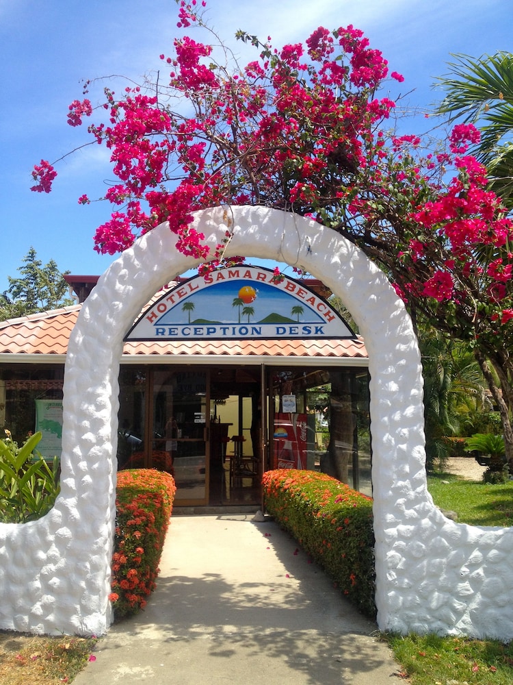Samara Beach Hotel 36/49