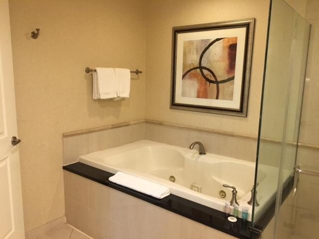 MGM Signature Condo Hotel by Owner 20/23