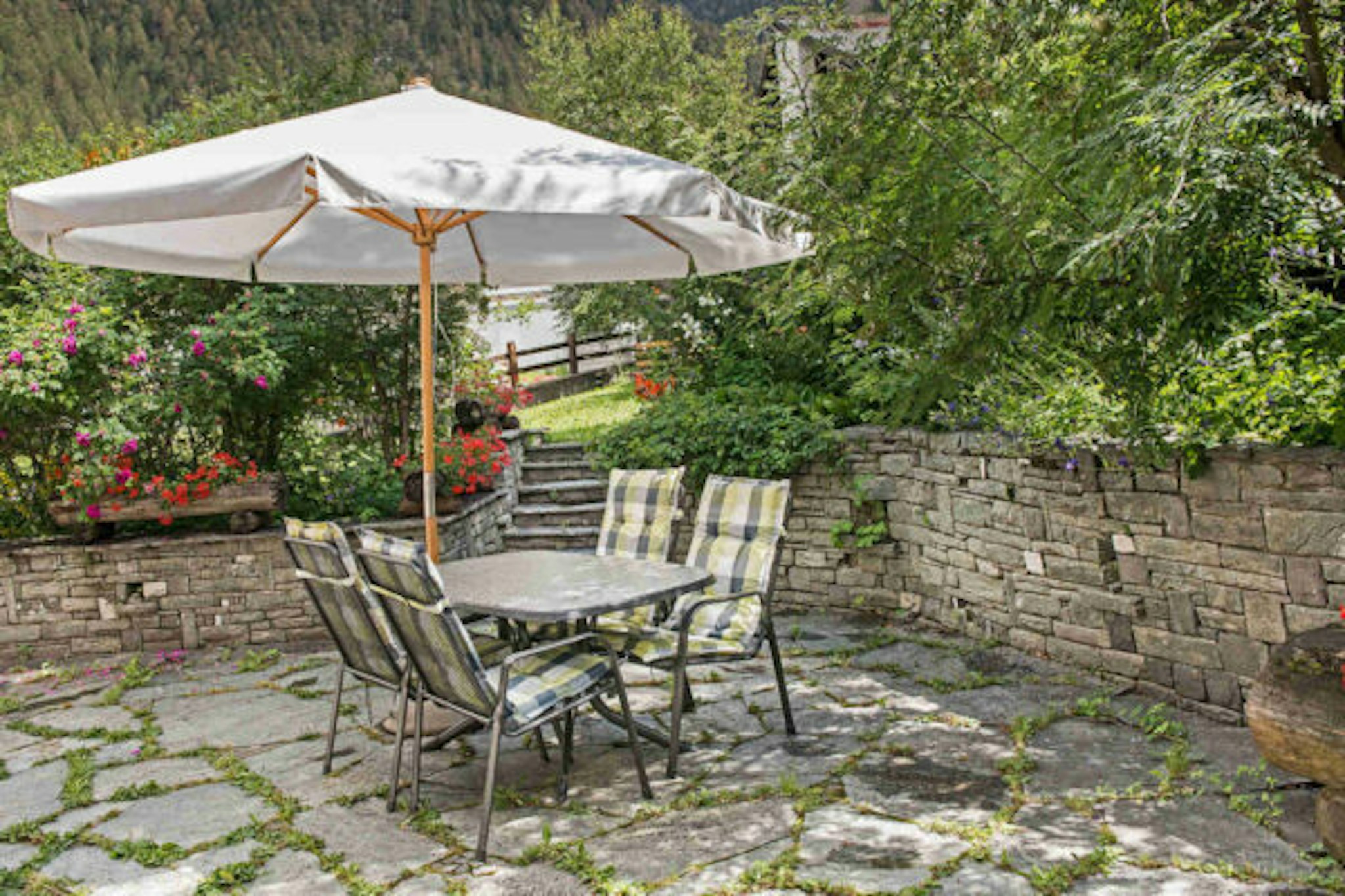 Hotel Alpina 25/25