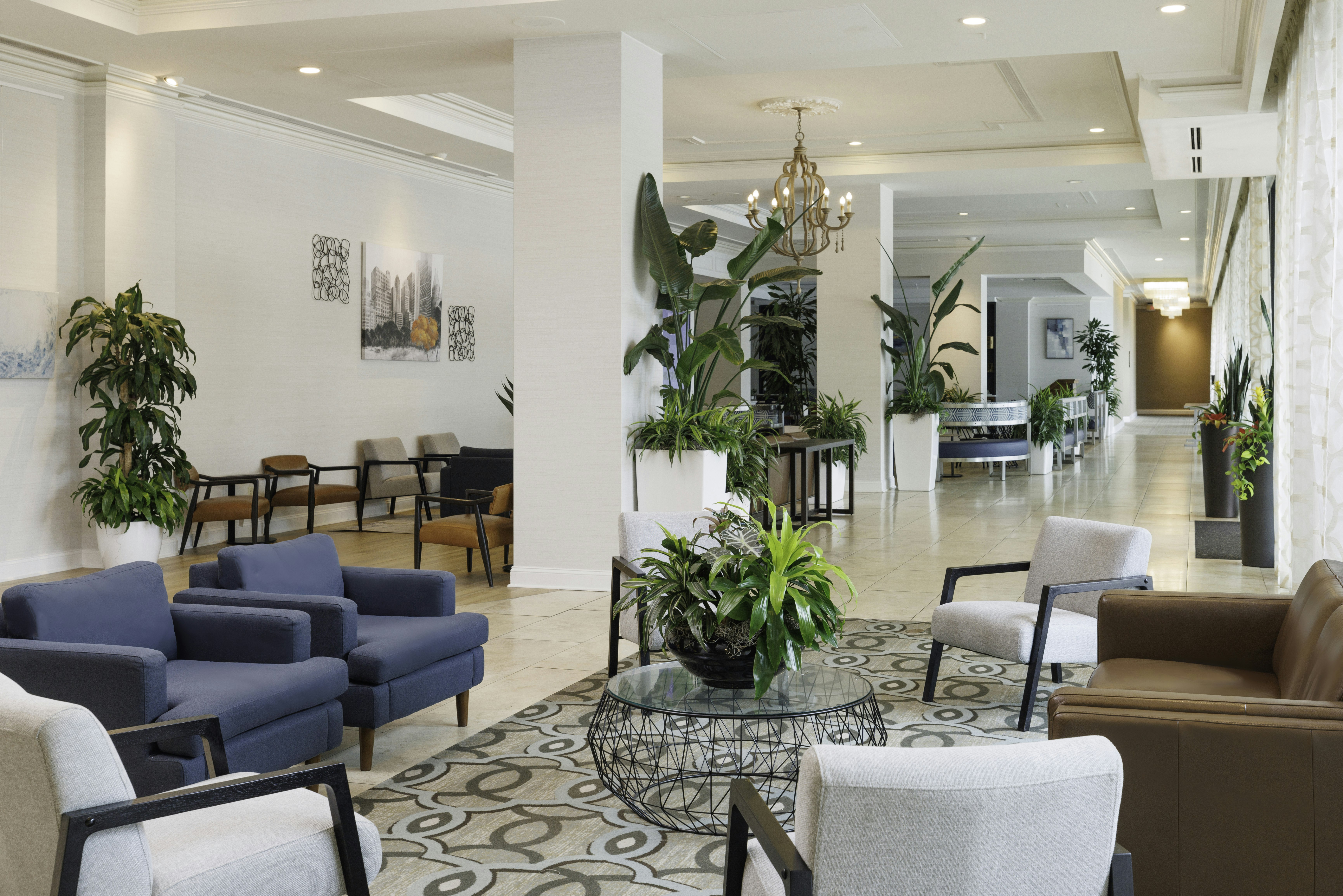 Hilton Greenville Hotel 37/69
