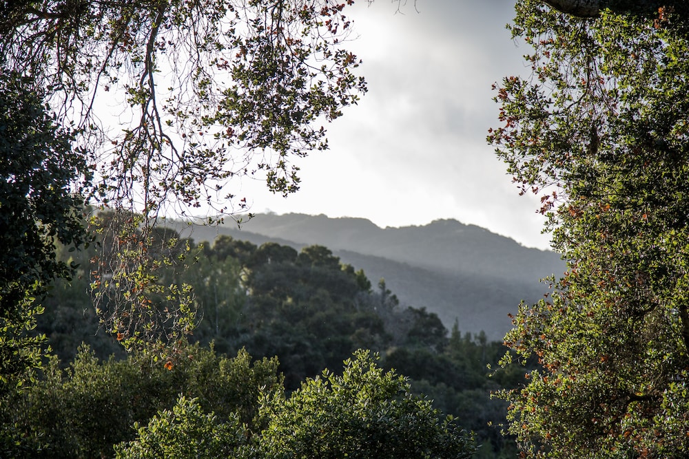 Hidden Valley Inn 51/57