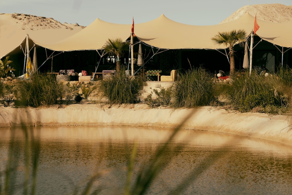 Les Dunes de Dakhla 14/31