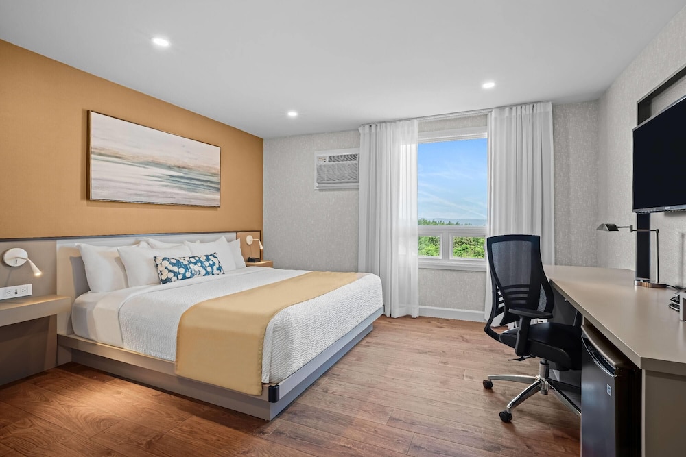 Room, King Bed, Garden Side
