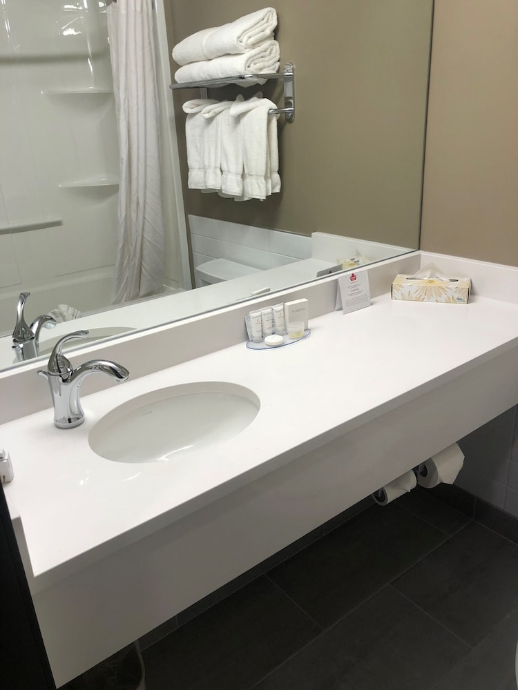 Canad Inns Destination Centre Windsor Park 24/51