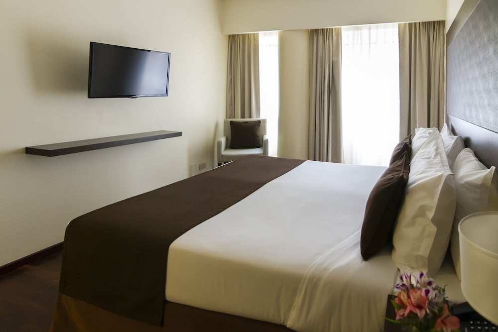 Park Royal Buenos Aires managed by Accor 4/65