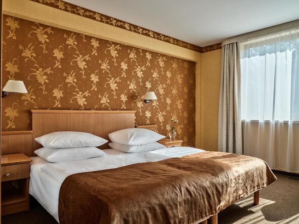 Witek Hotel 9/50