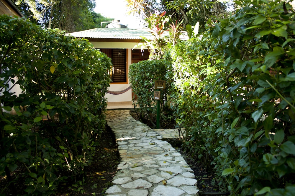 Hotel Jaguar Inn Tikal 7/70