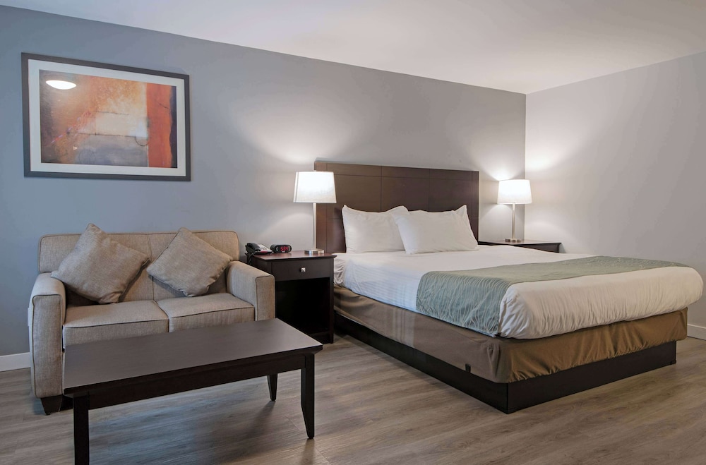 Efficiency, King Bed