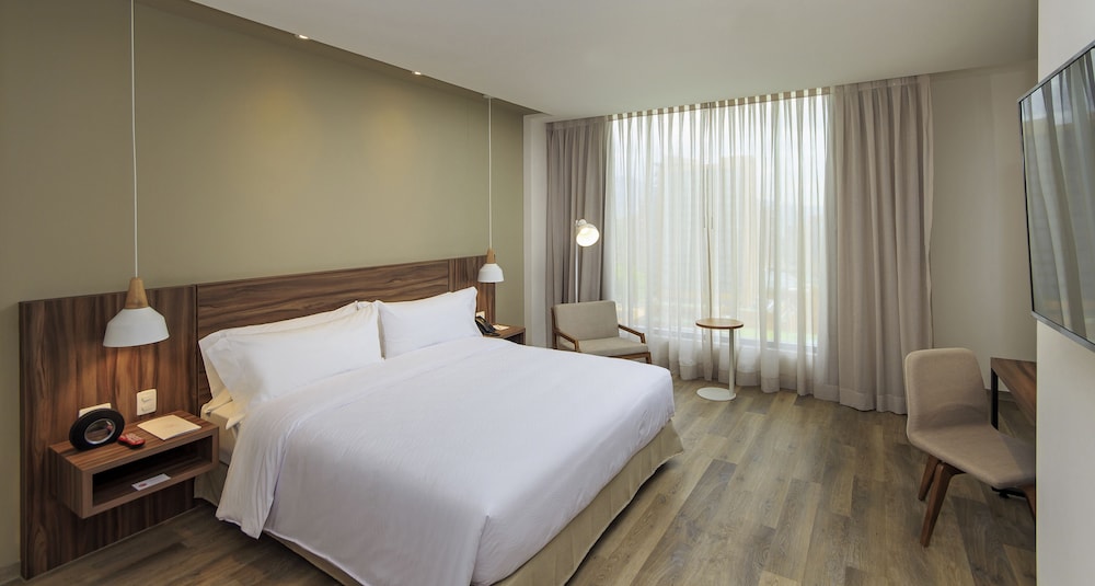 Novotel Medellin El Tesoro 20/74