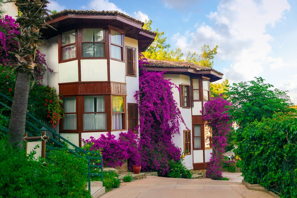 Club & Hotel Letoonia photo5