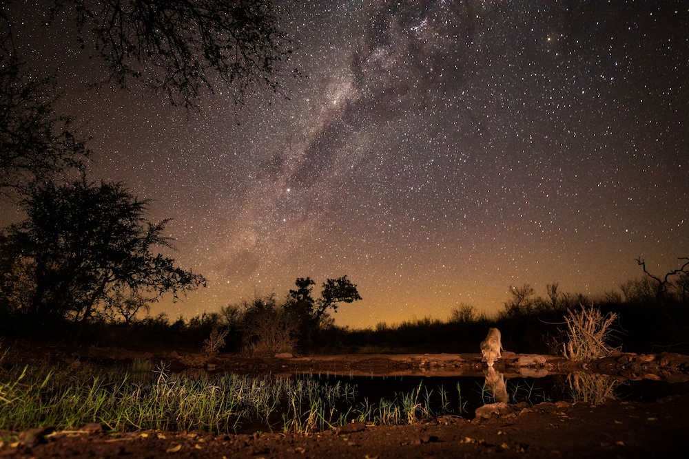 Antares Bush Camp & Safaris 37/50