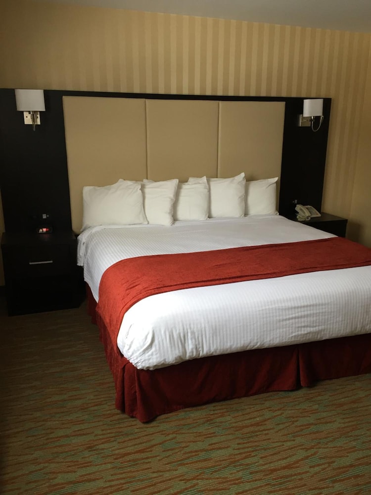 Sinbads Hotel And Suites 12/50