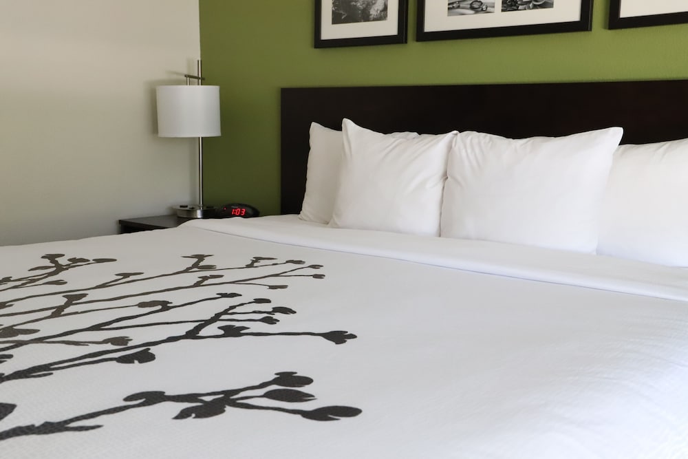 Sleep Inn Ellenboro Hwy 50 18/42