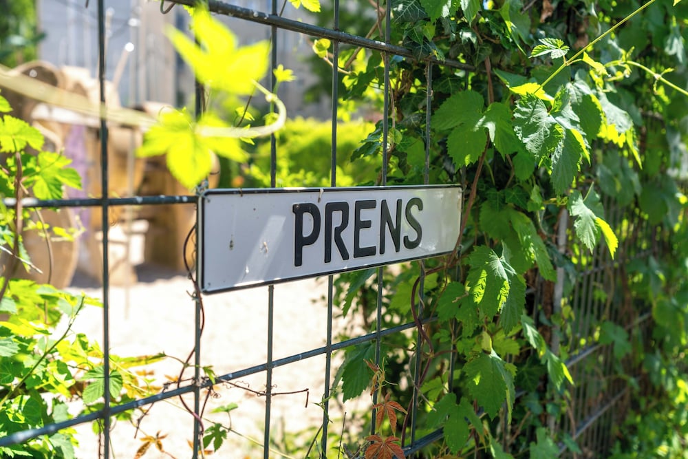 Prens 7/71
