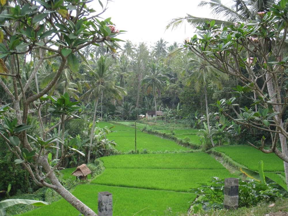 Bakung Ubud Resort And Villa 47/59