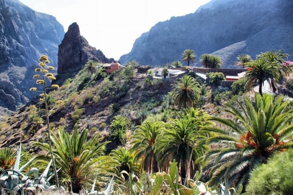 Finca Vista Bonita 47/51