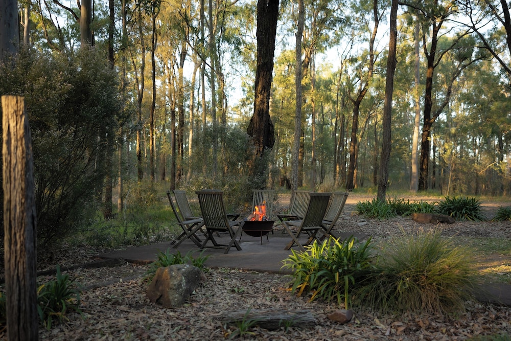 Wild Woods at Pokolbin 37/43