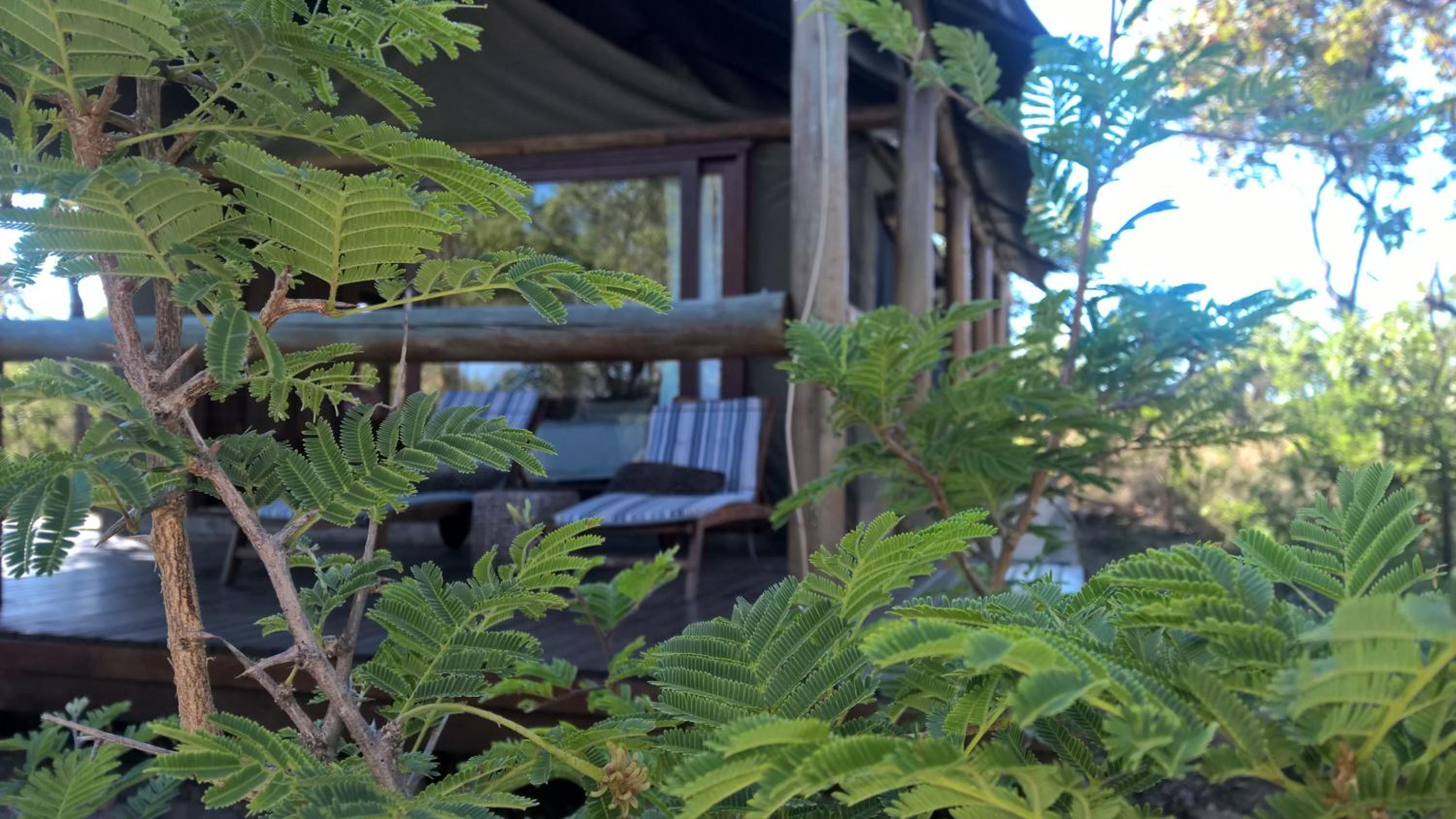 Bushwa Private Game Lodge 38/50