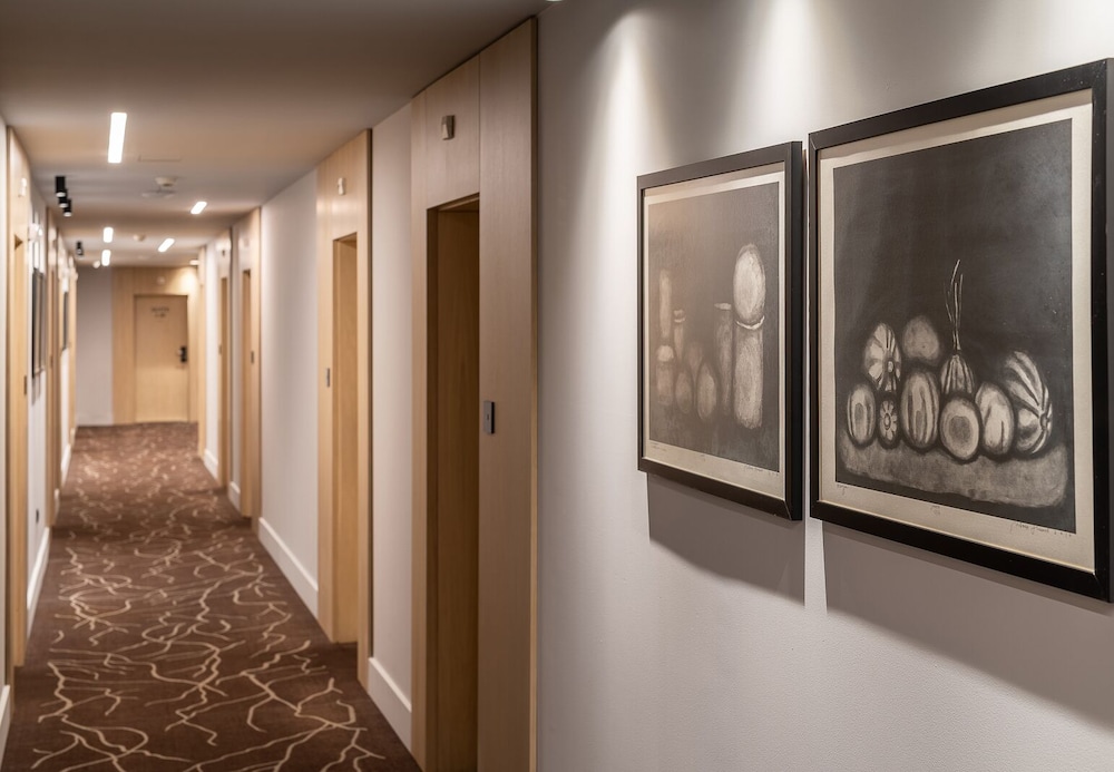 Hotel Vega 29/68