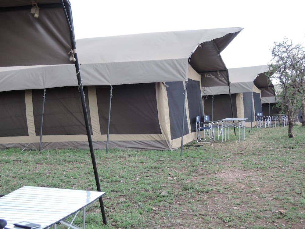 SERENGETI WILDEBEEST CAMP 54/55