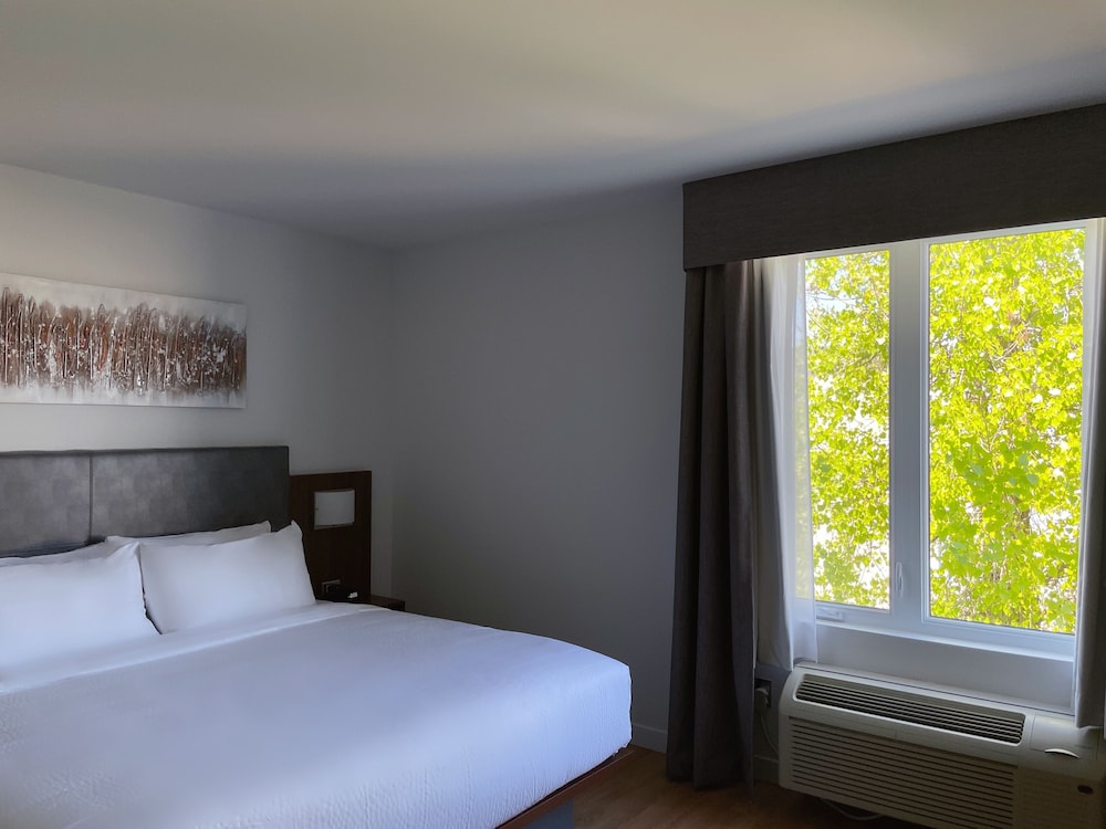 Deluxe, King Bed