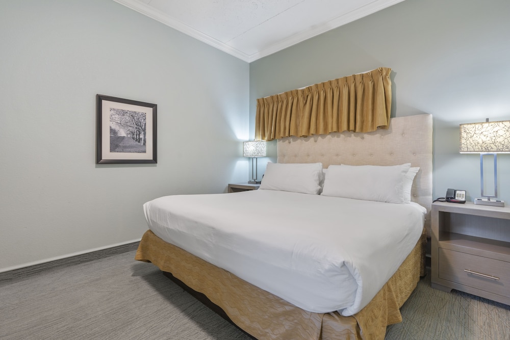 Walkout, Suite, King Bed, Bay View, Sofa