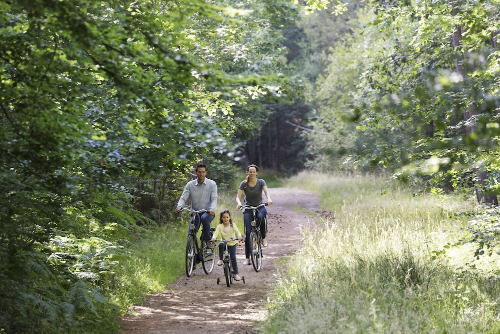 CENTER PARCS LES BOIS FRANCS 46/50