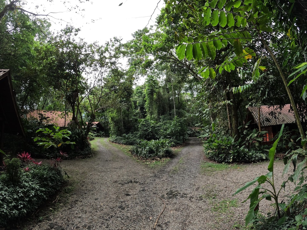 Arenal Oasis 39/50
