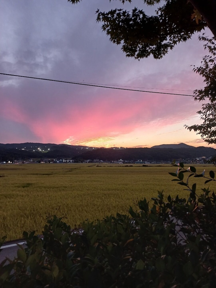 Gyeongju Orsay Pension 38/46