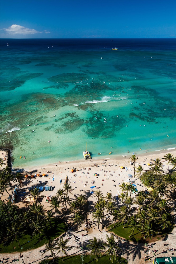 Hyatt Regency Waikiki Beach Resort and Spa 46/50