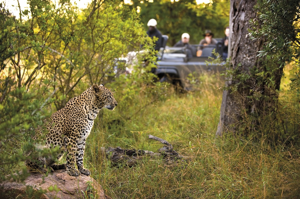 Lion Sands Kruger National Park 36/50