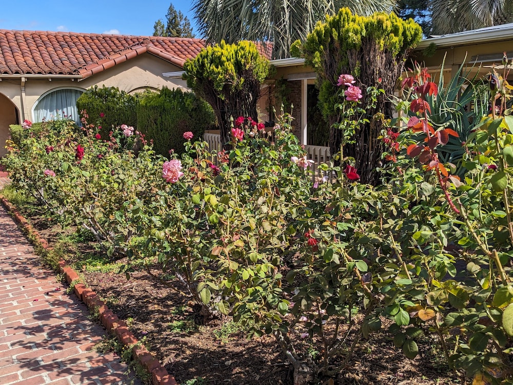 Los Gatos Garden Inn Hotel 43/50