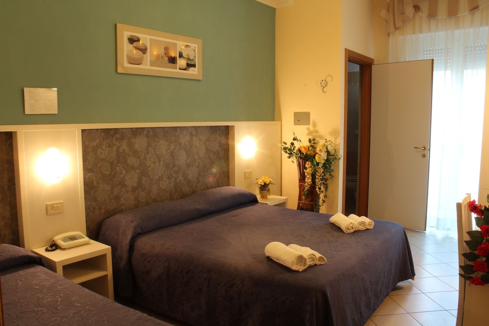 Hotel Senyor 12/50