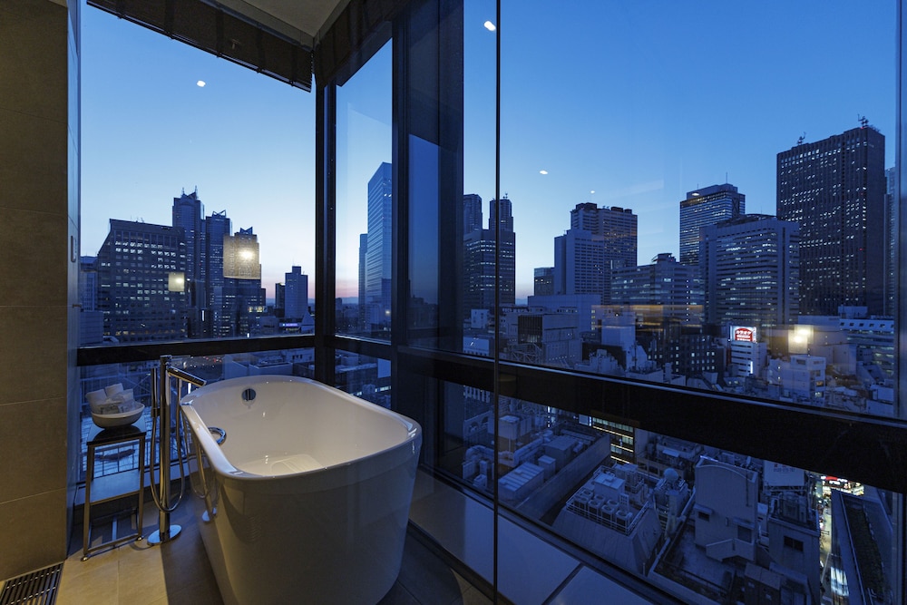 JR Kyushu Hotel Blossom Shinjuku 68/68