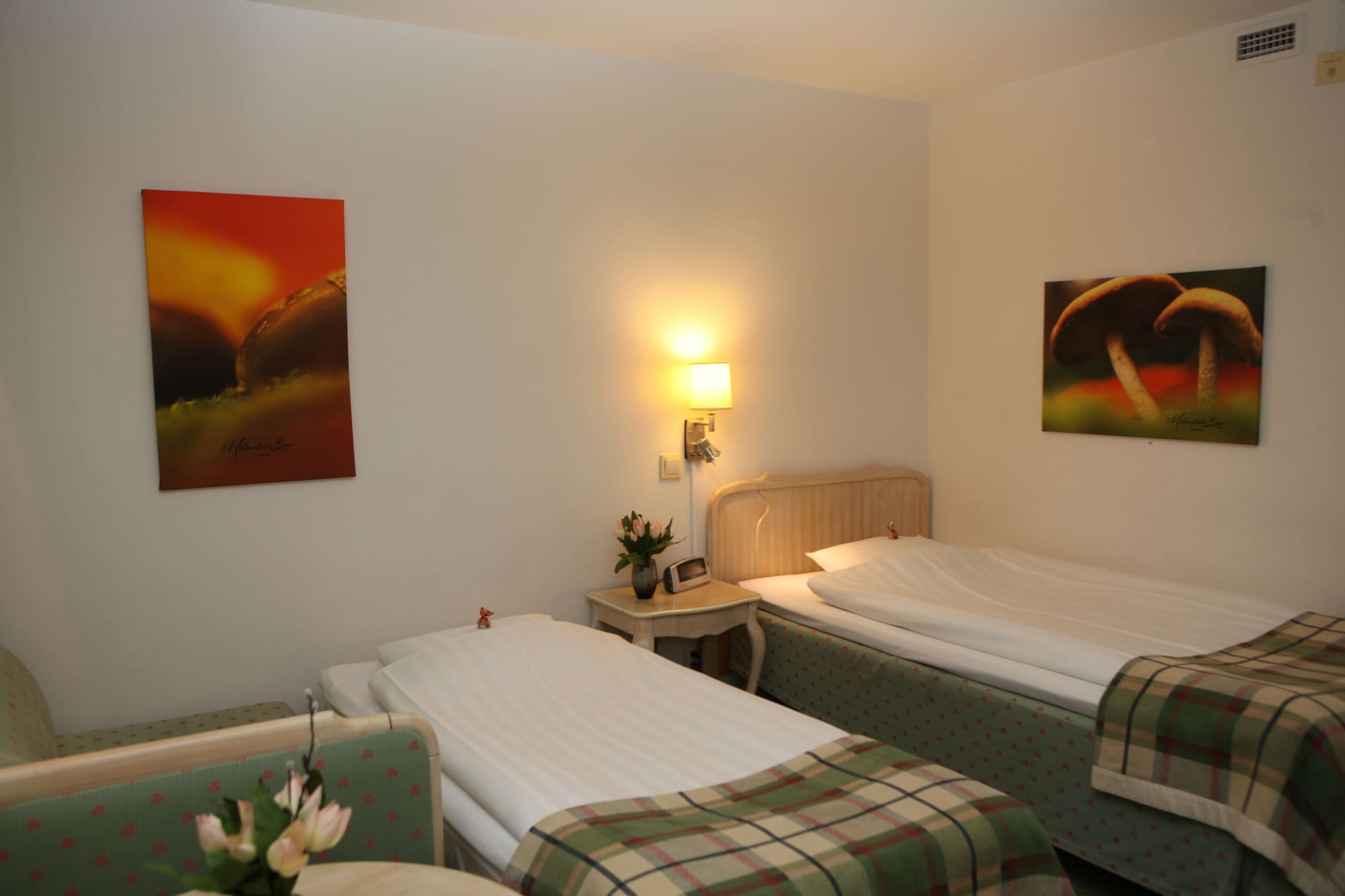 Economy, Single, Twin Beds, with Extra Bed 3/5