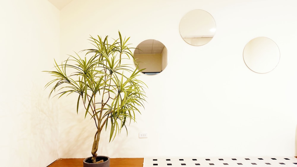 H& Taitung Puyuma Style Inn 3/50