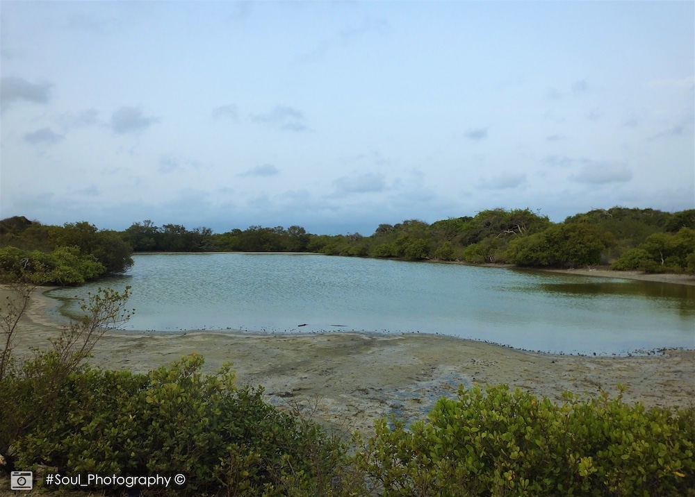 Sands Kalpitiya By GLN 14/42