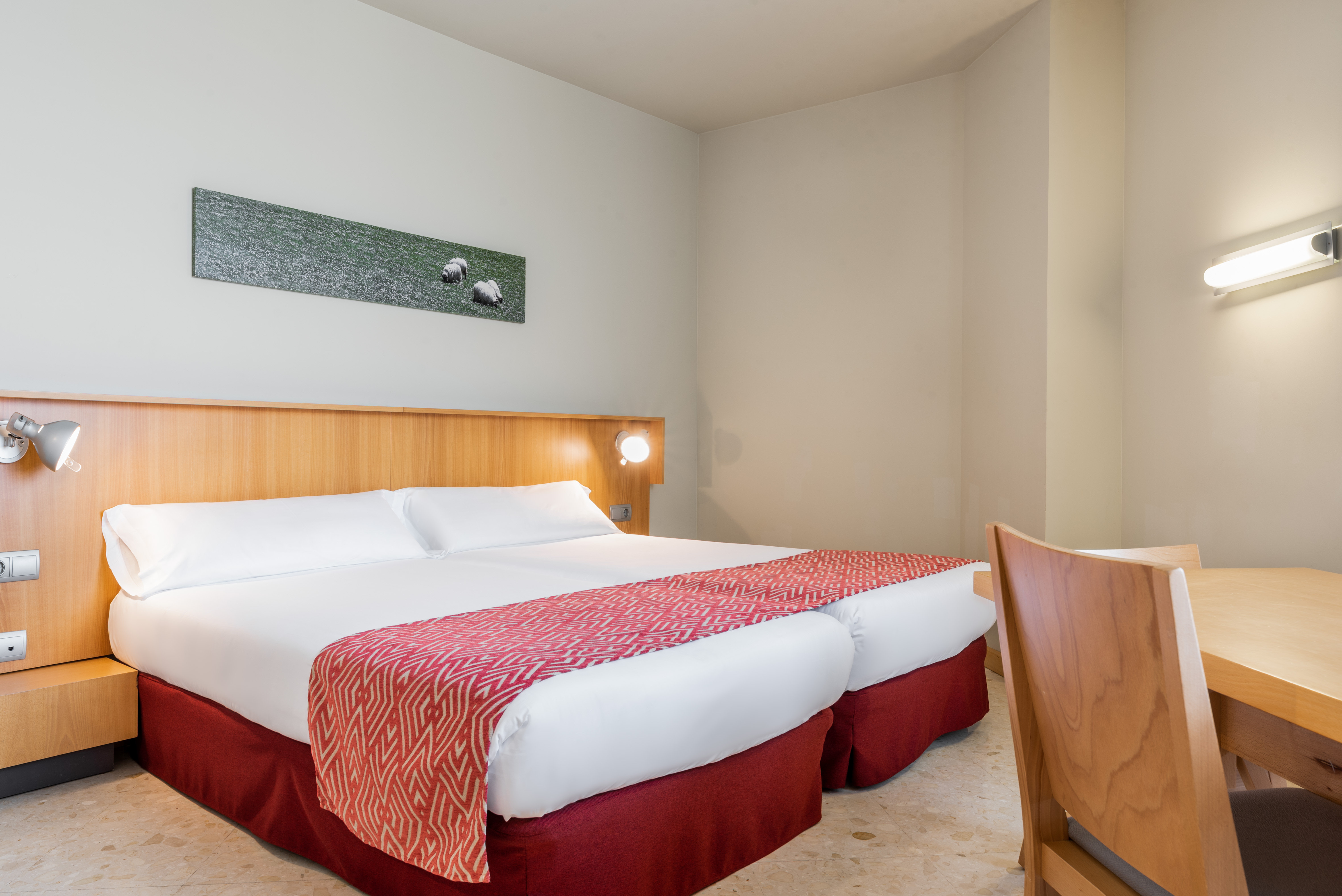 APARTAHOTEL EXE CAMPUS SAN MAMES 16/47