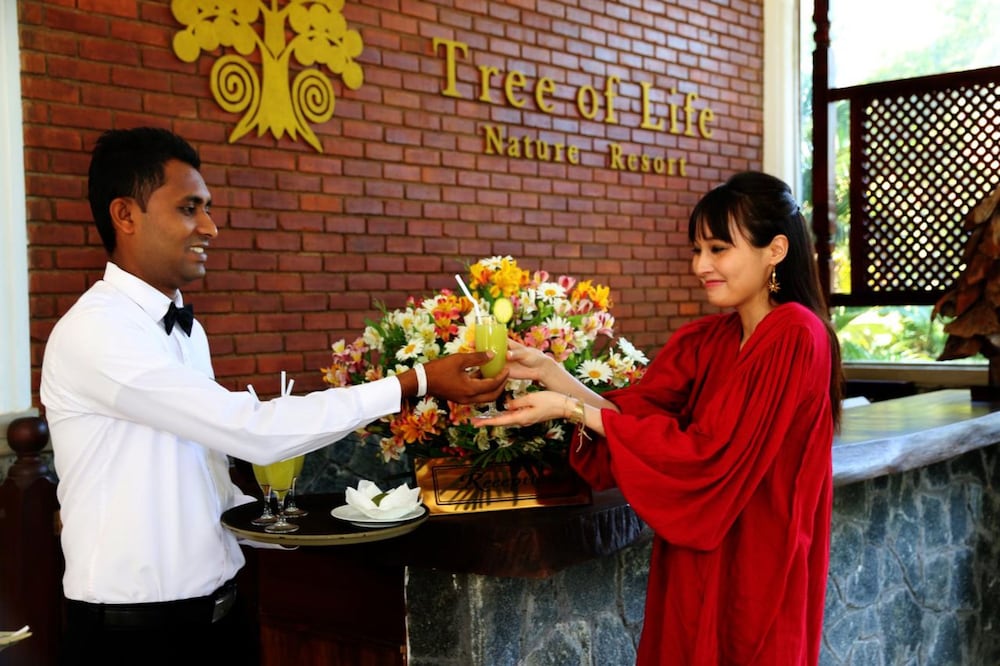 Lobby at Tree Of Life, Hanthana