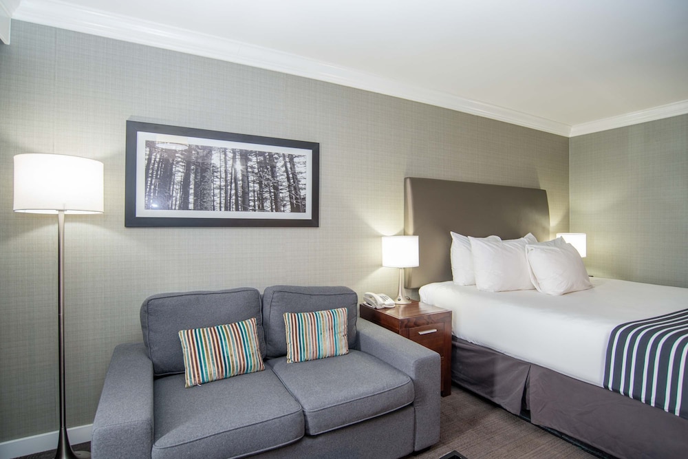 Sandman Hotel Red Deer 14/46