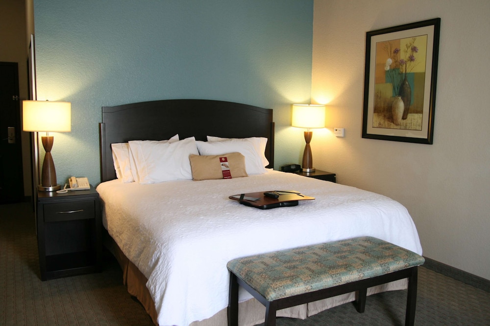 Hampton Inn and Suites Lake Jackson-Clute 16/41